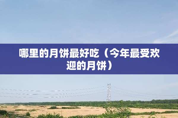 哪里的月饼最好吃(今年最受欢迎的月饼) 哪里的月饼最好吃(今年最受欢迎的月饼)