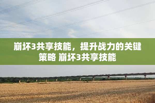 崩坏3共享技能,提升战力的关键策略 崩坏3共享技能 崩坏3共享技能,提升战力的关键策略 崩坏3共享技能