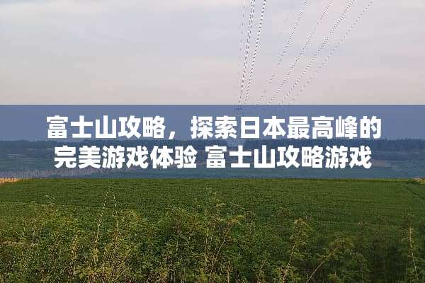 富士山攻略,探索日本最高峰的完美游戏体验 富士山攻略游戏 富士山攻略,探索日本最高峰的完美游戏体验 富士山攻略游戏