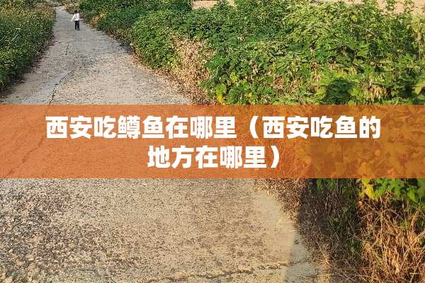 西安吃鳟鱼在哪里（西安吃鱼的地方在哪里）