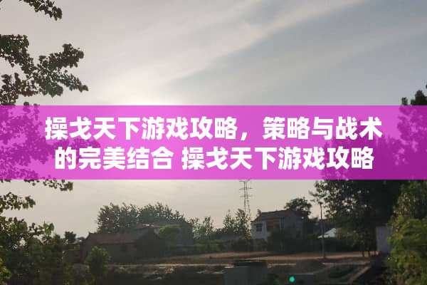 操戈天下游戏攻略，策略与战术的完美结合 操戈天下游戏攻略