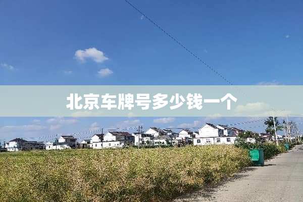 北京***多少钱一个