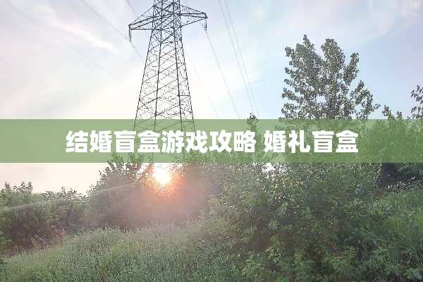 结婚盲盒游戏攻略 婚礼盲盒