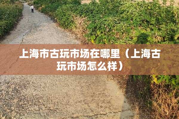上海市古玩市场在哪里（上海古玩市场怎么样）