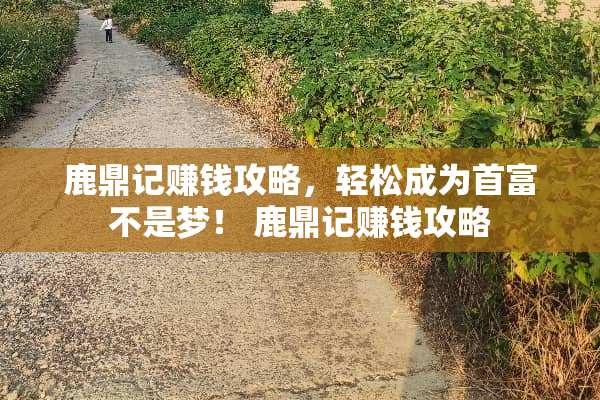 鹿鼎记赚钱攻略，轻松成为首富不是梦！ 鹿鼎记赚钱攻略