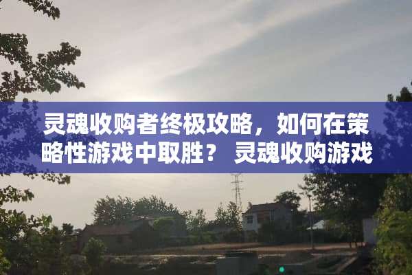 灵魂收购者终极攻略，如何在策略***中取胜？ 灵魂收购游戏攻略图文