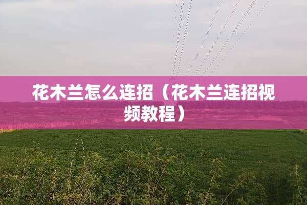花木兰怎么连招（花木兰连招视频教程）