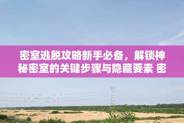 密室逃脱攻略新手必备,解锁神秘密室的关键步骤与隐藏要素 密室通关攻略 密室逃脱攻略新手必备,解锁神秘密室的关键步骤与隐藏要素 密室通关攻略