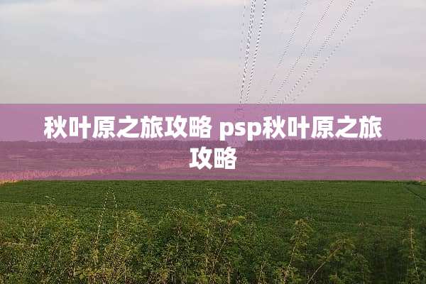 秋叶原之旅攻略 psp秋叶原之旅攻略