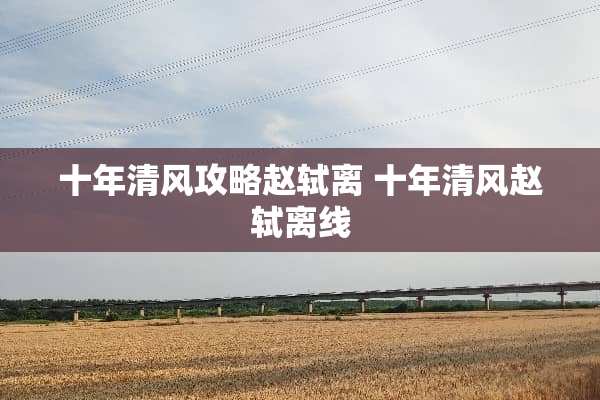 十年清风攻略赵轼离 十年清风赵轼离线