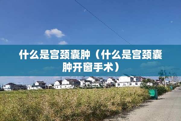 什么是宫颈囊肿（什么是宫颈囊肿开窗手术）