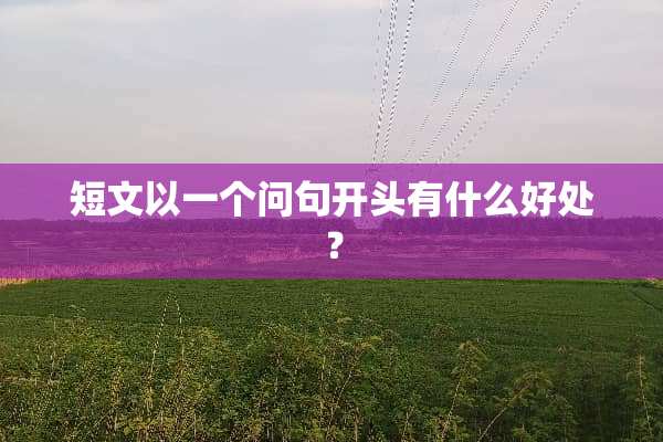 短文以一个问句开头有什么好处？