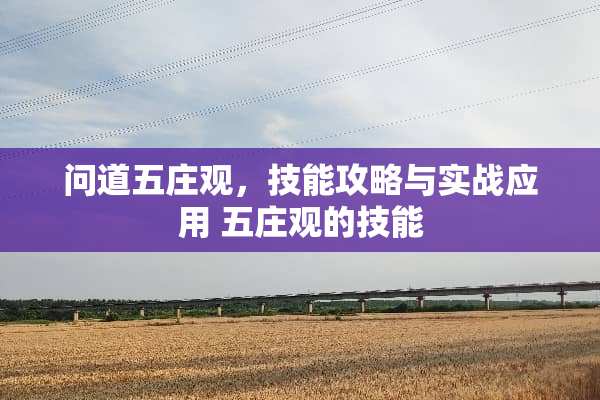 问道五庄观，技能攻略与实战应用 五庄观的技能