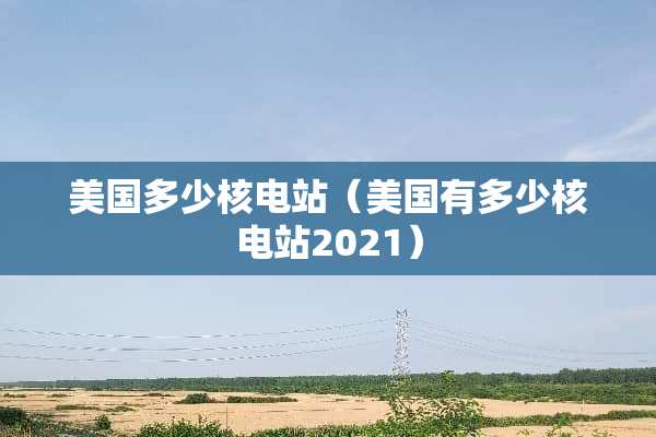 美国多少核电站（美国有多少核电站2021）