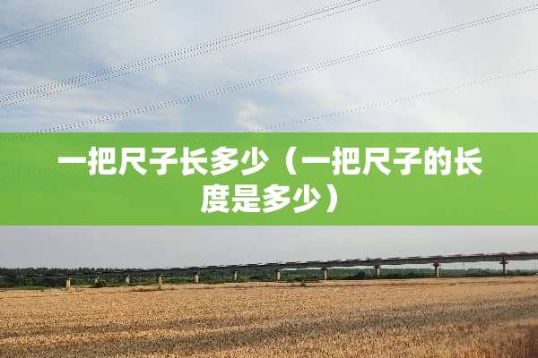 一把尺子长多少（一把尺子的长度是多少）