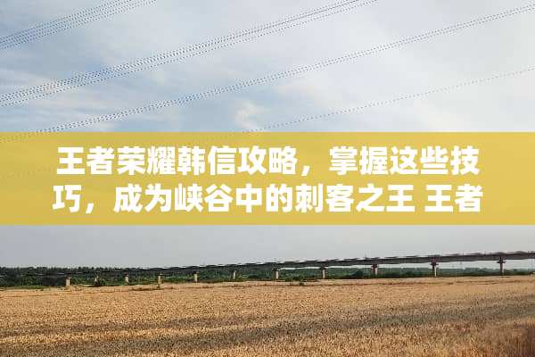 王者荣耀韩信攻略，掌握这些技巧，成为峡谷中的刺客之王 王者荣耀韩信攻略