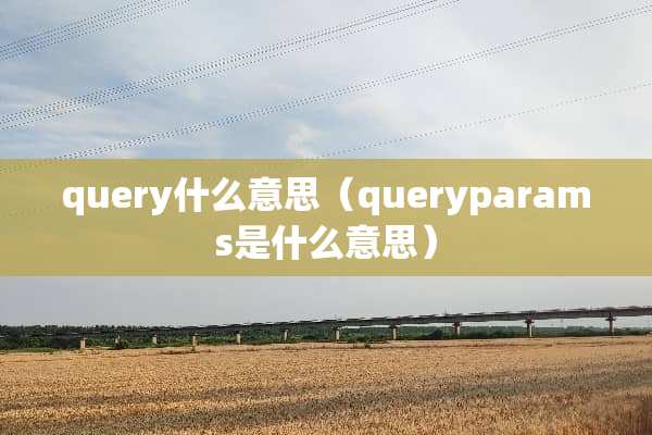 query什么意思（queryparams是什么意思）