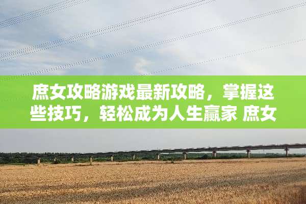 庶女攻略游戏最新攻略，掌握这些技巧，轻松成为人生赢家 庶女不嫁游戏最新攻略