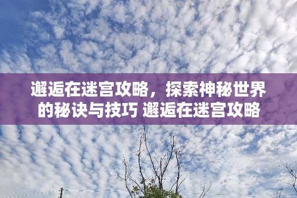 邂逅在迷宫攻略，探索神秘世界的秘诀与技巧 邂逅在迷宫攻略
