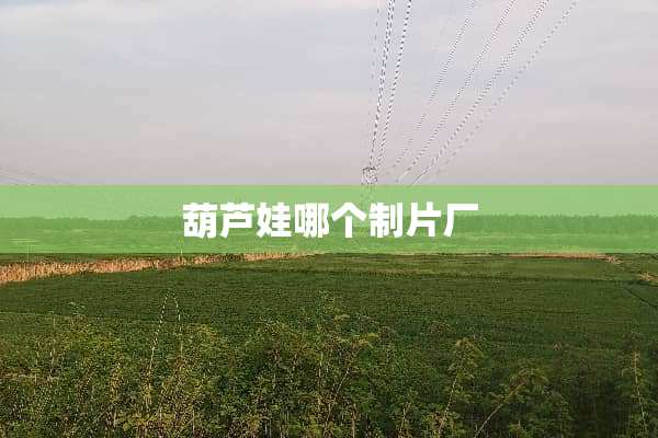 葫芦娃哪个制片厂