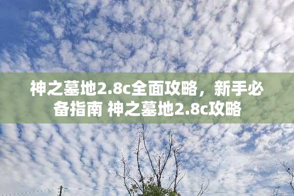 神之墓地2.8c全面攻略，新手必备指南 神之墓地2.8c攻略