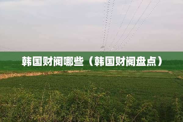 韩国财阀哪些（韩国财阀盘点）