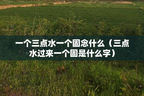 一个三点水一个固念什么（三点水过来一个固是什么字）