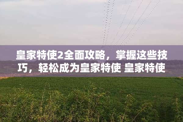 皇家特使2全面攻略，掌握这些技巧，轻松成为皇家特使 皇家特使2攻略