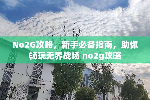 No2G攻略，新手必备指南，助你畅玩**战场 no2g攻略