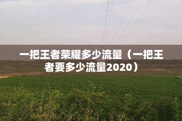 一把王者荣耀多少流量（一把王者要多少流量2020）