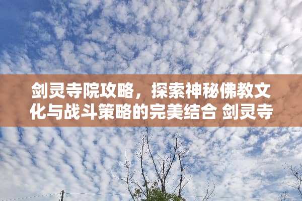剑灵寺院攻略，探索神秘佛教文化与战斗策略的完美结合 剑灵寺院攻略