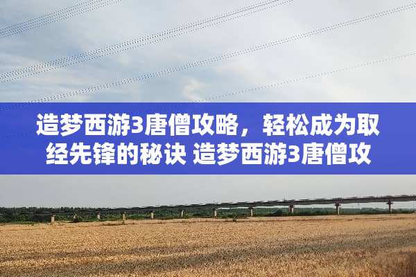 造梦西游3唐僧攻略，轻松成为取经先锋的秘诀 造梦西游3唐僧攻略