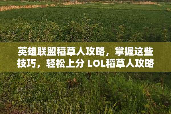 英雄联盟稻草人攻略，掌握这些技巧，轻松上分 LOL稻草人攻略游戏