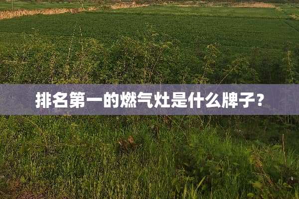 排名第一的燃气灶是什么牌子？
