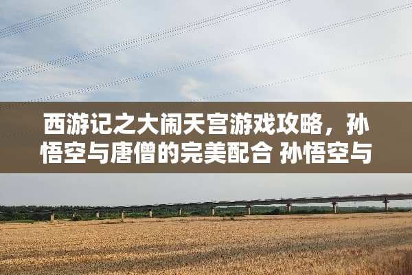西游记之大闹天宫游戏攻略，孙悟空与唐僧的完美配合 孙悟空与唐僧游戏攻略