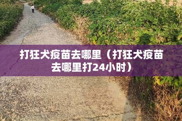 打狂犬**去哪里（打狂犬**去哪里打24小时）