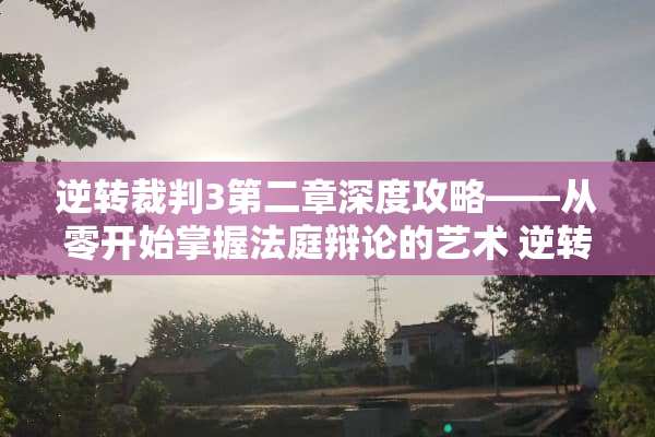 逆转裁判3第二章深度攻略——从零开始掌握法庭辩论的艺术 逆转裁判3攻略第二章