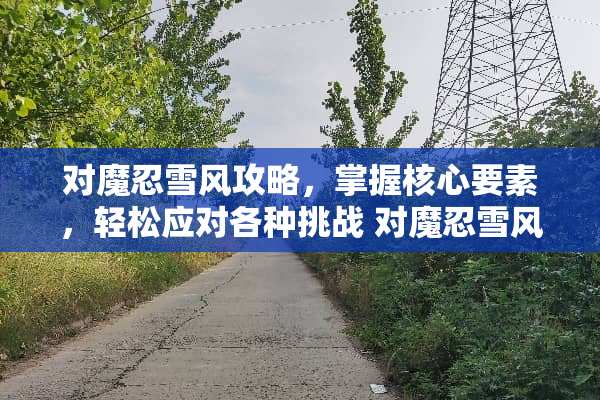 对魔忍雪风攻略，掌握核心要素，轻松应对各种挑战 对魔忍雪风攻略