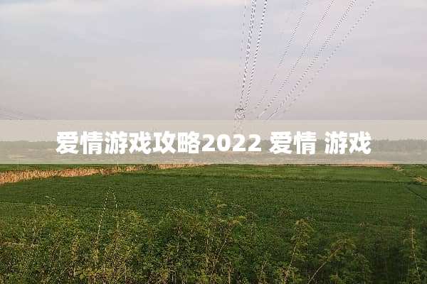 爱情游戏攻略2022 爱情 游戏