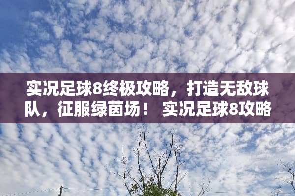 实况**8终极攻略，打造无敌球队，征服绿茵场！ 实况**8攻略