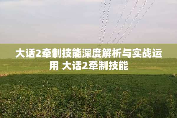 大话2牵制技能深度解析与实战运用 大话2牵制技能