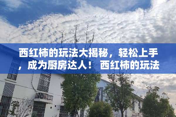 西红柿的玩法大揭秘，轻松上手，成为厨房达人！ 西红柿的玩法