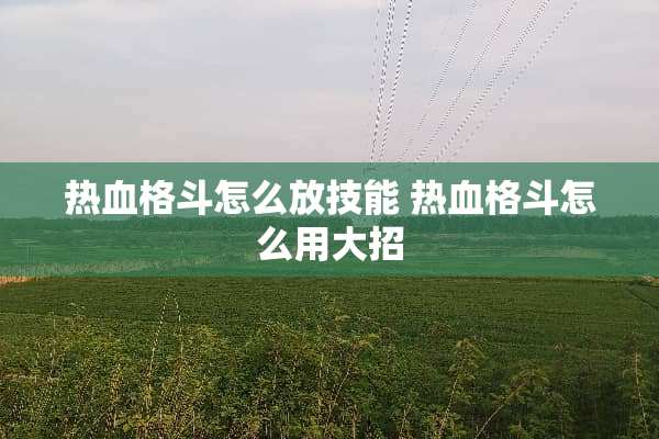 热血格斗怎么放技能 热血格斗怎么用大招