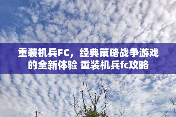 重装机兵FC，经典策略战争游戏的全新体验 重装机兵fc攻略
