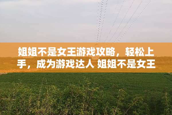 姐姐不是女王游戏攻略，轻松上手，成为游戏达人 姐姐不是女王游戏攻略