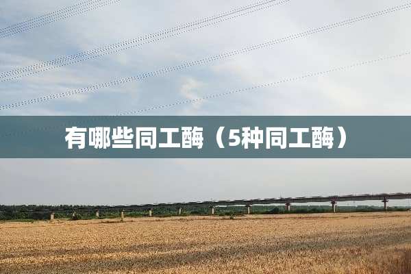 有哪些同工酶（5种同工酶）