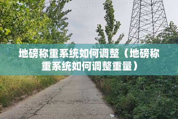 **称重系统如何调整（**称重系统如何调整重量）