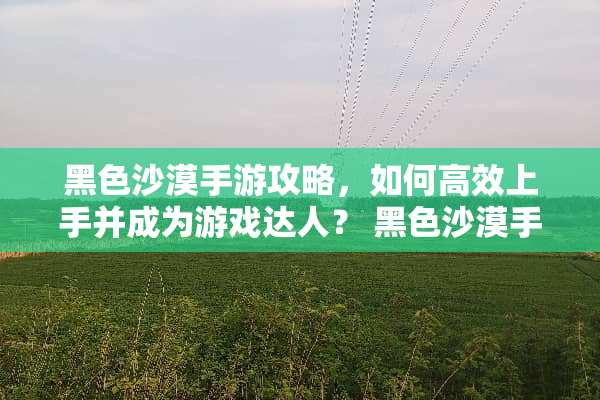 黑色沙漠手游攻略，如何高效上手并成为游戏达人？ 黑色沙漠手游攻略