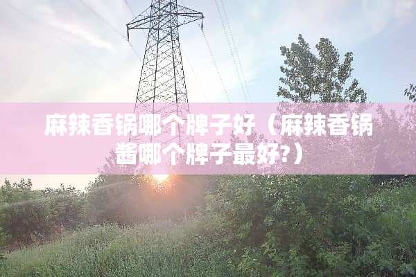 麻辣香锅哪个牌子好（麻辣香锅酱哪个牌子最好?）