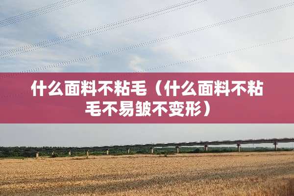 什么面料不粘毛（什么面料不粘毛不易皱不变形）